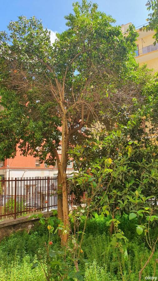 Star House - Bari Centro Apartman Kültér fotó
